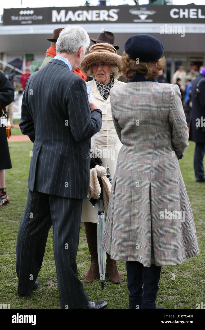La duchesse de Cornouailles au cours Mesdames Journée au Cheltenham Festival à l'Hippodrome de Cheltenham. Banque D'Images