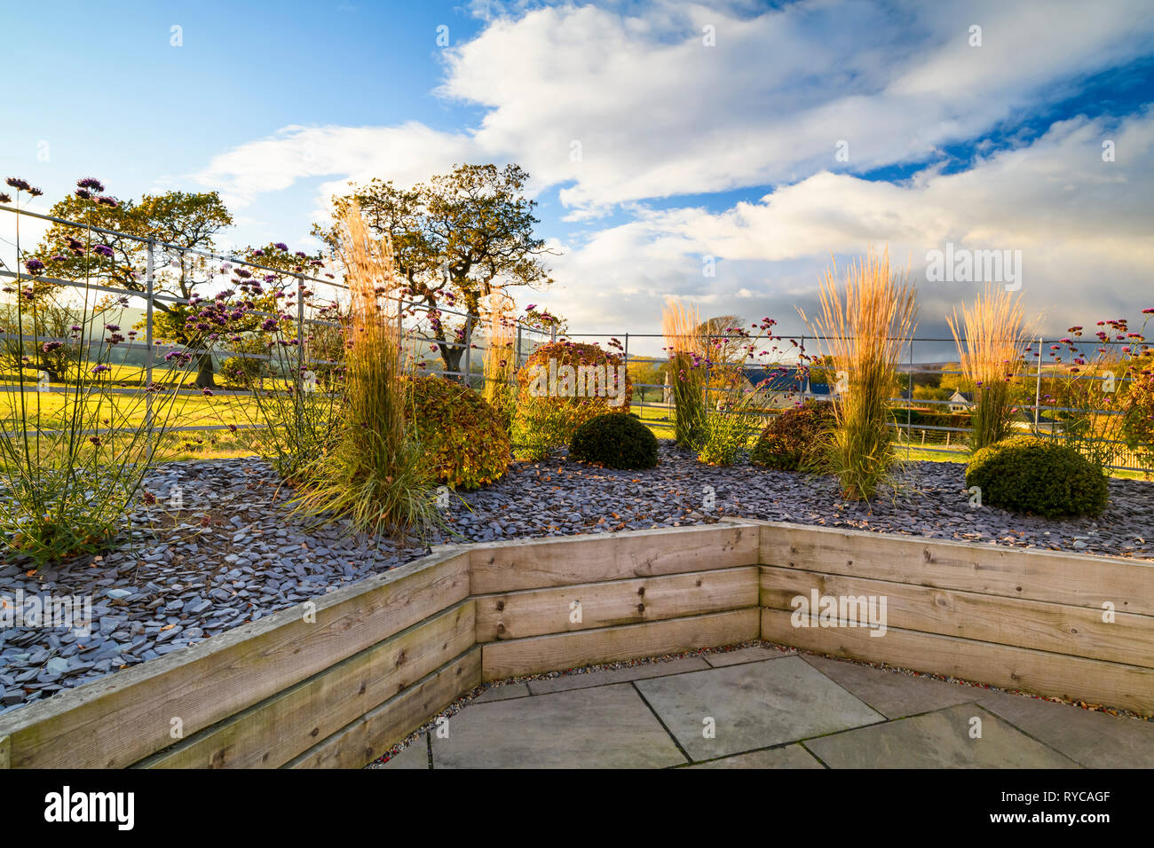 Couleurs d'automne dans un beau jardin privé, Yorkshire, Angleterre, Royaume-Uni - élégant et contemporain, l'aménagement paysager et la plantation dans le bois des lits surélevés. Banque D'Images