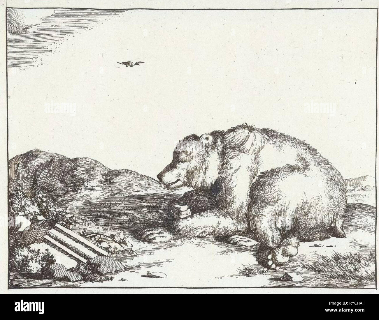 Ours couché, imprimer bouilloire : Marcus de Bye, Marcus Gerards I, 1664 Banque D'Images