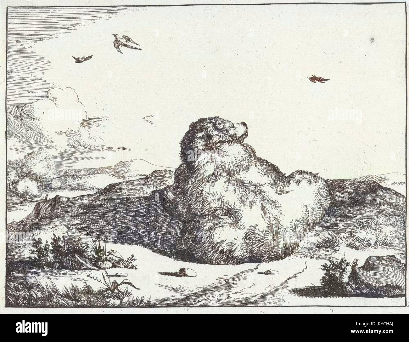 Ours, Marcus de Bye, Marcus Gerards I 1664 Banque D'Images