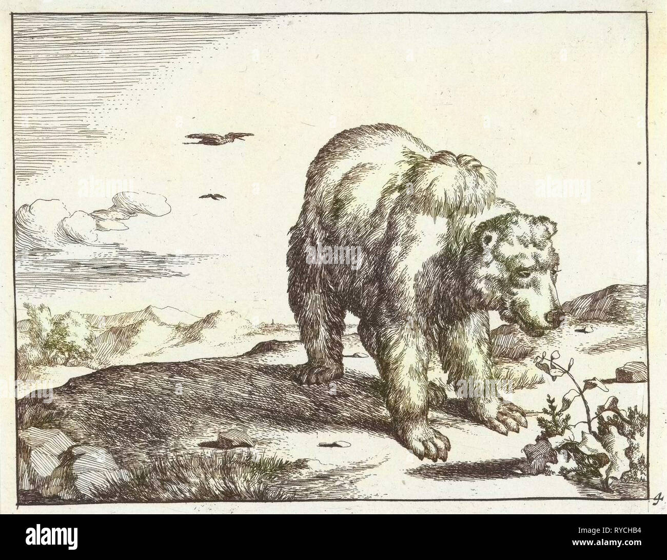 Ours debout à l'usine, Marcus de Bye, Marcus Gerards (I), 1664 Banque D'Images