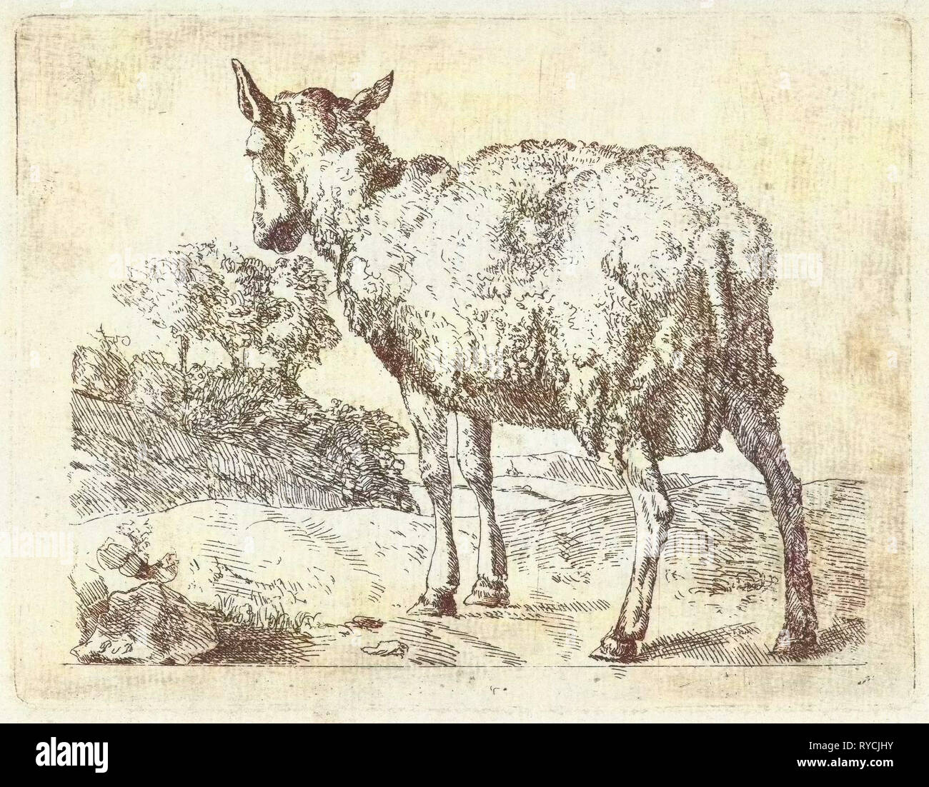 Un mouton, anonyme, Marcus de Bye, 1657 - c. 1800 Banque D'Images