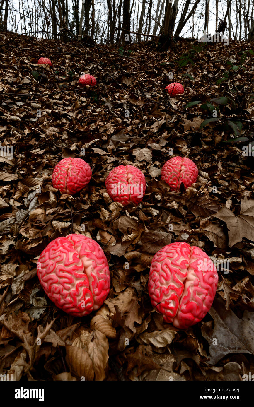 Champs Mind - Mindfields Banque D'Images