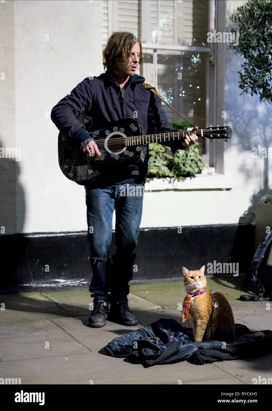 Bob The Cat Film Banque D Image Et Photos Alamy Bob The Cat Film Banque D Image Et Photos Alamy