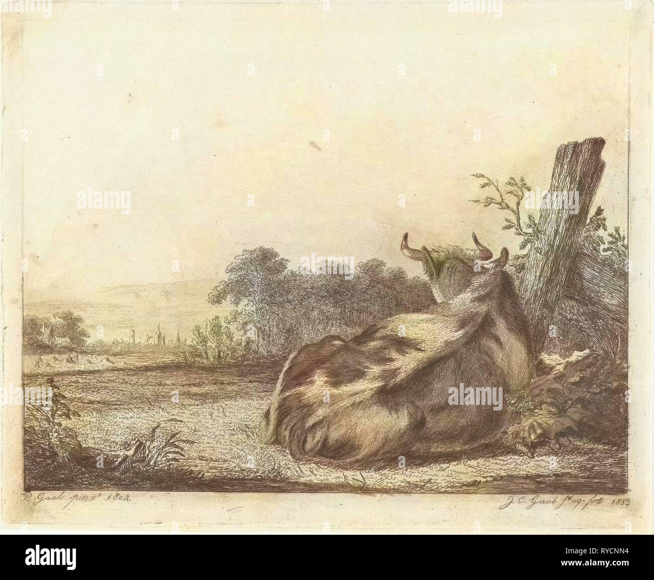 Repéré vache couchée près d'un poteau en bois, Jacobus Cornelis Gaal, 1853 Banque D'Images