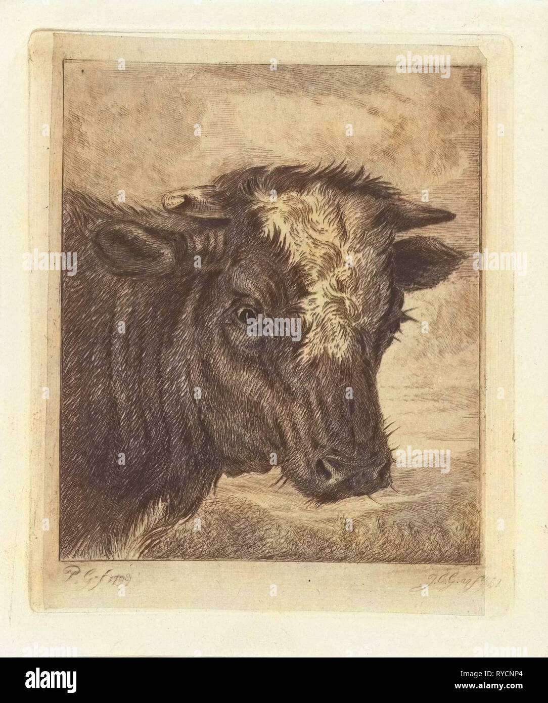Tête d'une vache avec kol blanc, Jacobus Cornelis Gaal, 1852 Banque D'Images