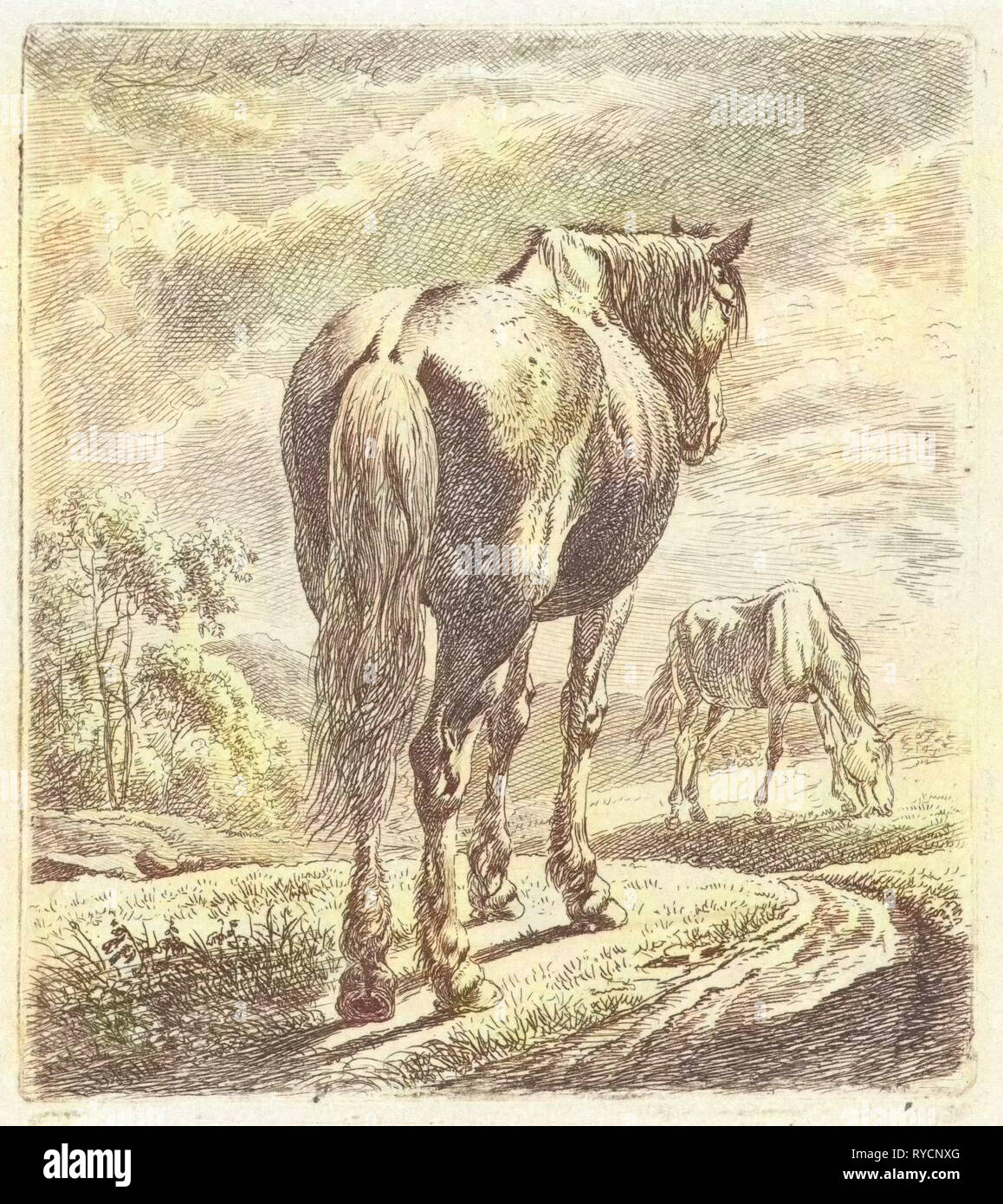 Un cheval est vu obliquement du derrière, dans l'arrière-plan un cheval de pâturage, imprimer bouilloire : Johannes Mock (mentionné sur l'objet), qui date 1824 Banque D'Images