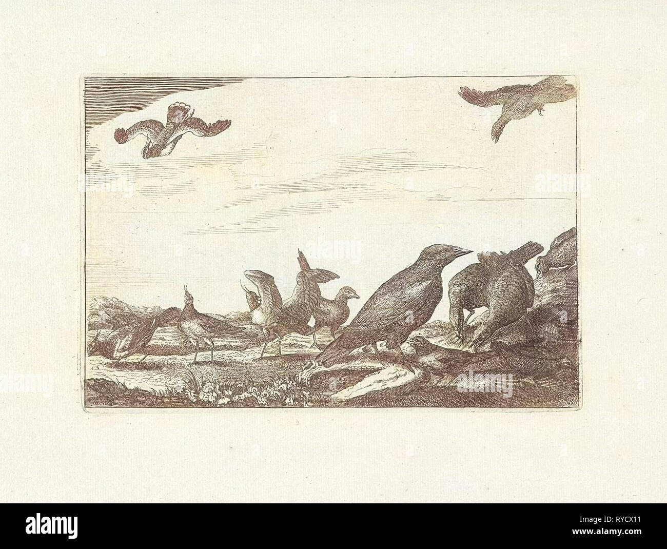 Crow et les faisans, Francis Barlow, Pieter Schenk I, 1675-1711 Banque D'Images