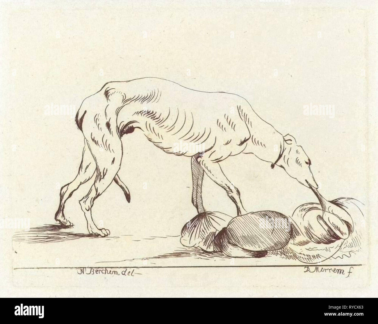 La consommation de chien, D. Merrem, 1700 - 1800 Banque D'Images