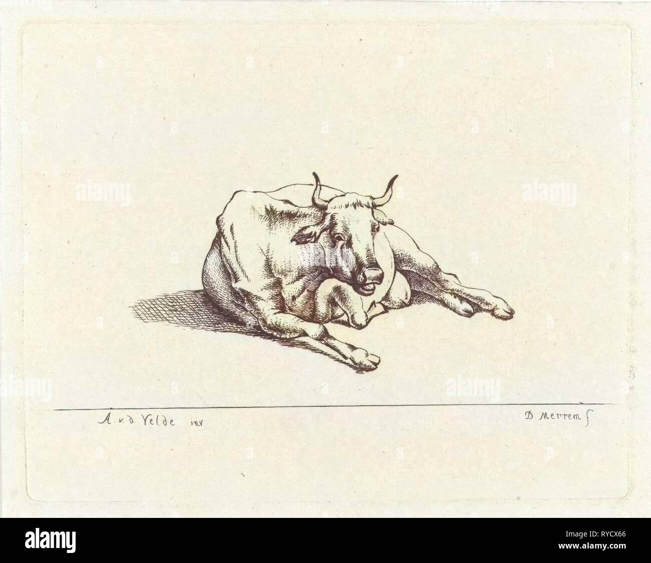 Vache couchée, D. Merrem, 1700 - 1800 Banque D'Images