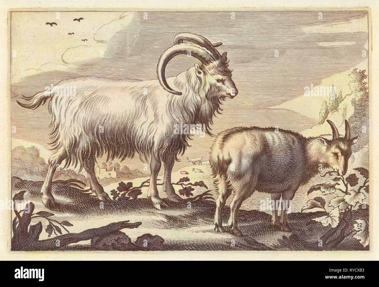 Paysage vallonné avec deux chèvres, imprimer bouilloire : Reinier van Persijn, Jacob Gerritsz Cuyp, Nicolaes Visscher I, 1641 Banque D'Images