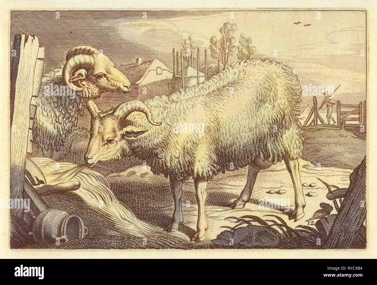 Pâturage avec une brebis et un bélier, Reinier van Persijn, Jacob Gerritsz Cuyp, Nicolaes Visscher (I), 1641 Banque D'Images