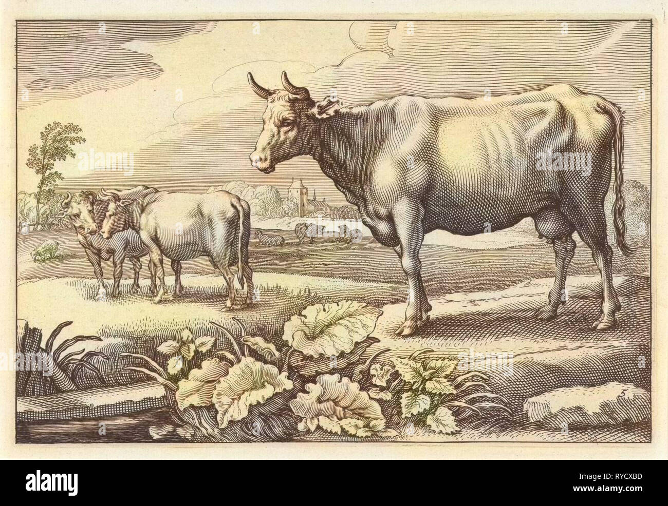 Pâturage avec des vaches, imprimer bouilloire : Reinier van Persijn, Jacob Gerritsz Cuyp, Nicolaes Visscher I, 1641 Banque D'Images