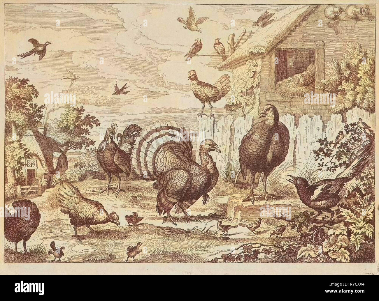 La volaille et d'une Turquie différente, Jan Griffier I, Francis Barlow, 1655 - 1718 Banque D'Images
