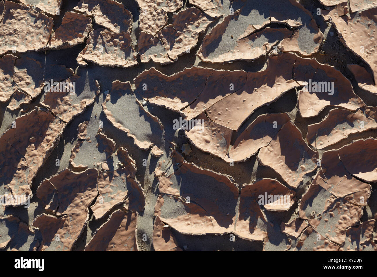 La boue séchée, la Death Valley, Californie, USA. Banque D'Images