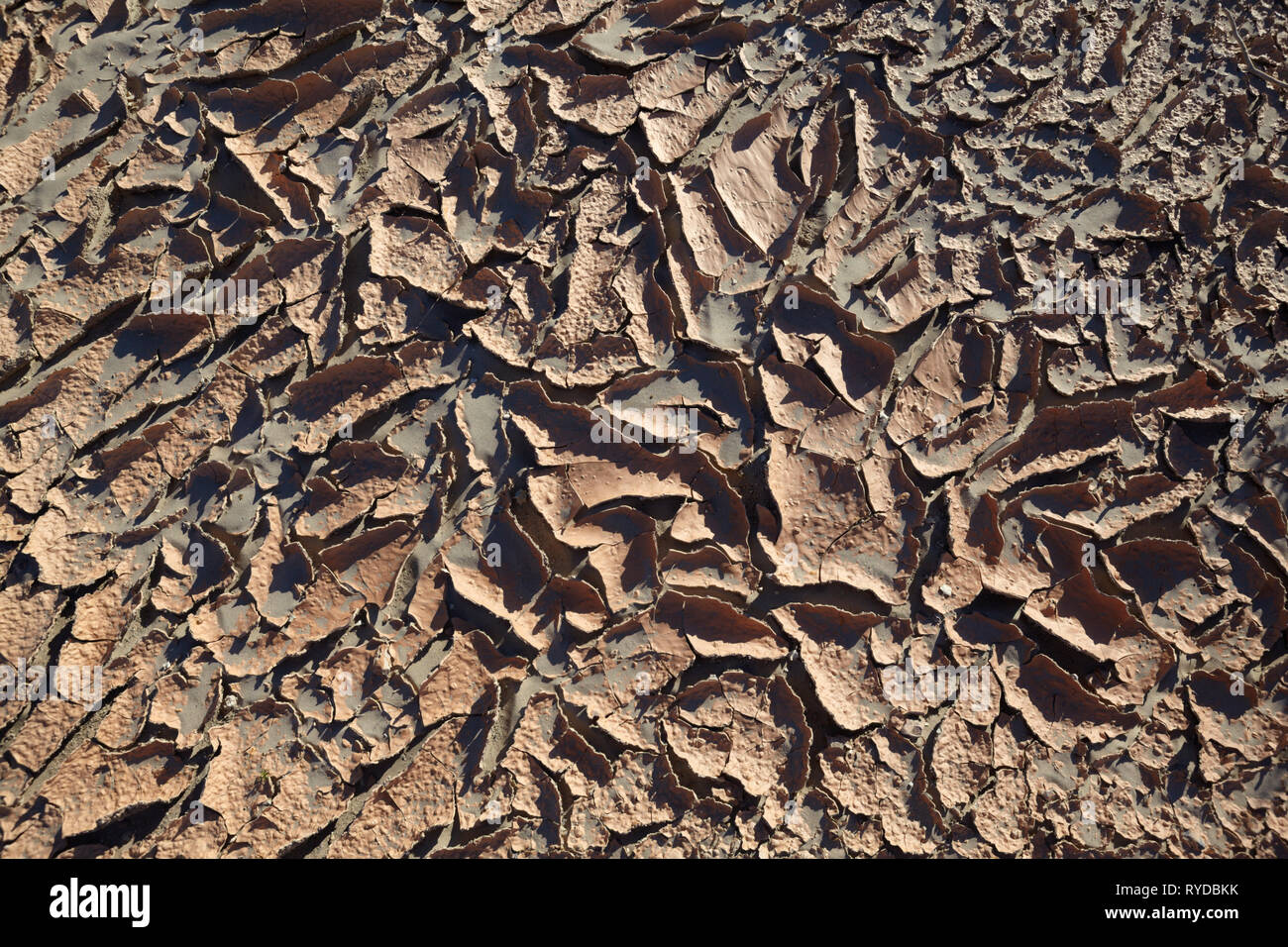 La boue séchée, la Death Valley, Californie, USA. Banque D'Images