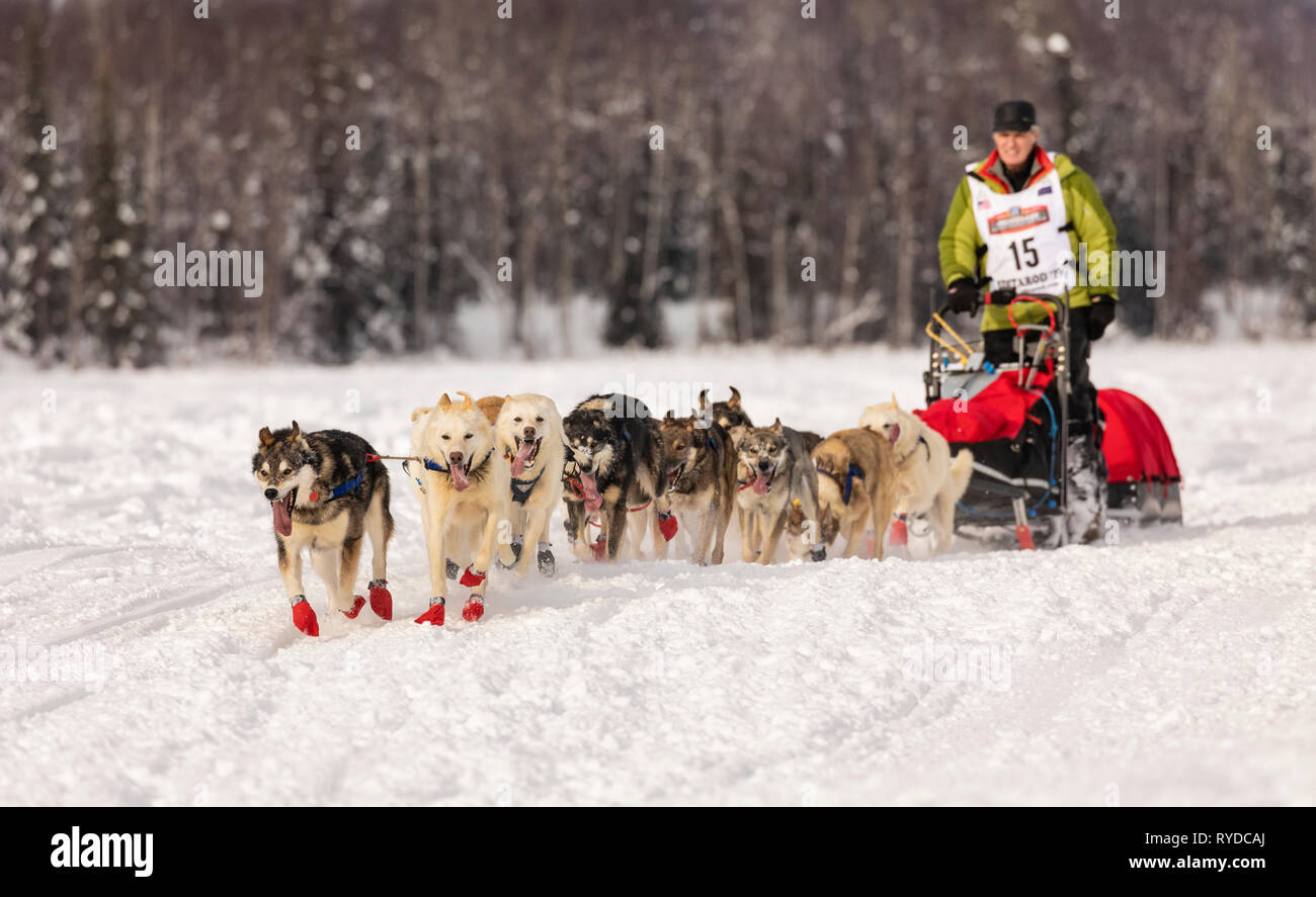 Musher Linwood Fiedler après le redémarrage en saule de la 47e Iditarod Trail Sled Dog Race dans le sud de l'Alaska. Banque D'Images