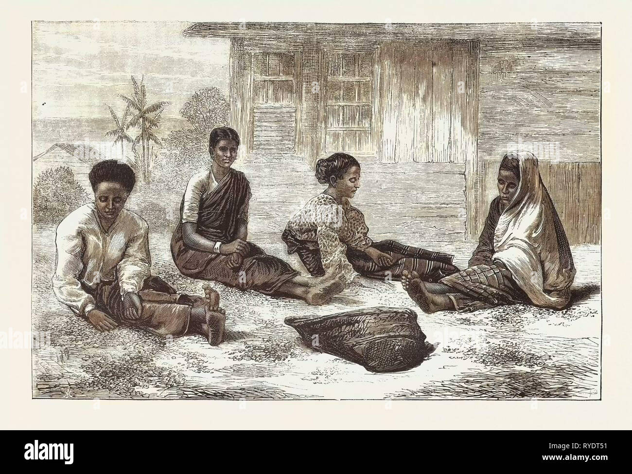 Les cueilleurs de café de Ceylan, le Sri Lanka, gravure 1876 Banque D'Images