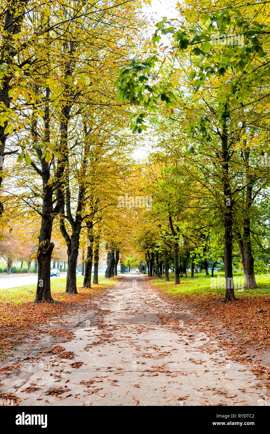 Rivne, Ukraine Kiev City dans l'ouest de l'Ukraine piscine parc verdoyant en été avec son chemin et personne ne avec de nombreuses feuilles de châtaignier tombé automne automne Banque D'Images