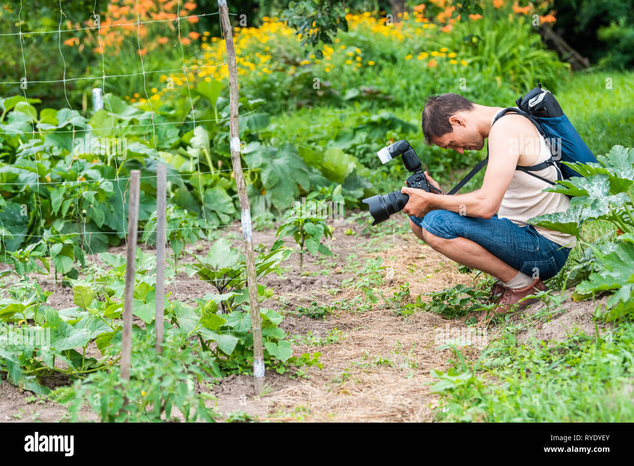 Jeune homme photographe en prenant le jardin photo photo de plantes dans l'été vert en Ukraine Russie datcha ou ferme avec verger tomate Légumes Concombre Banque D'Images