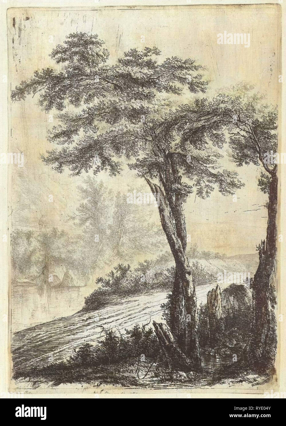 Arbres sur le côté de la route, imprimer bouilloire : Willem de Heusch, ch. 1635 - 1692 Banque D'Images