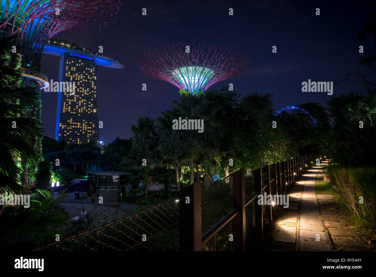 Sentier de marche avec Supertree Grove et Marina Bay Sands - Gardens By The Bay - Singapour Banque D'Images