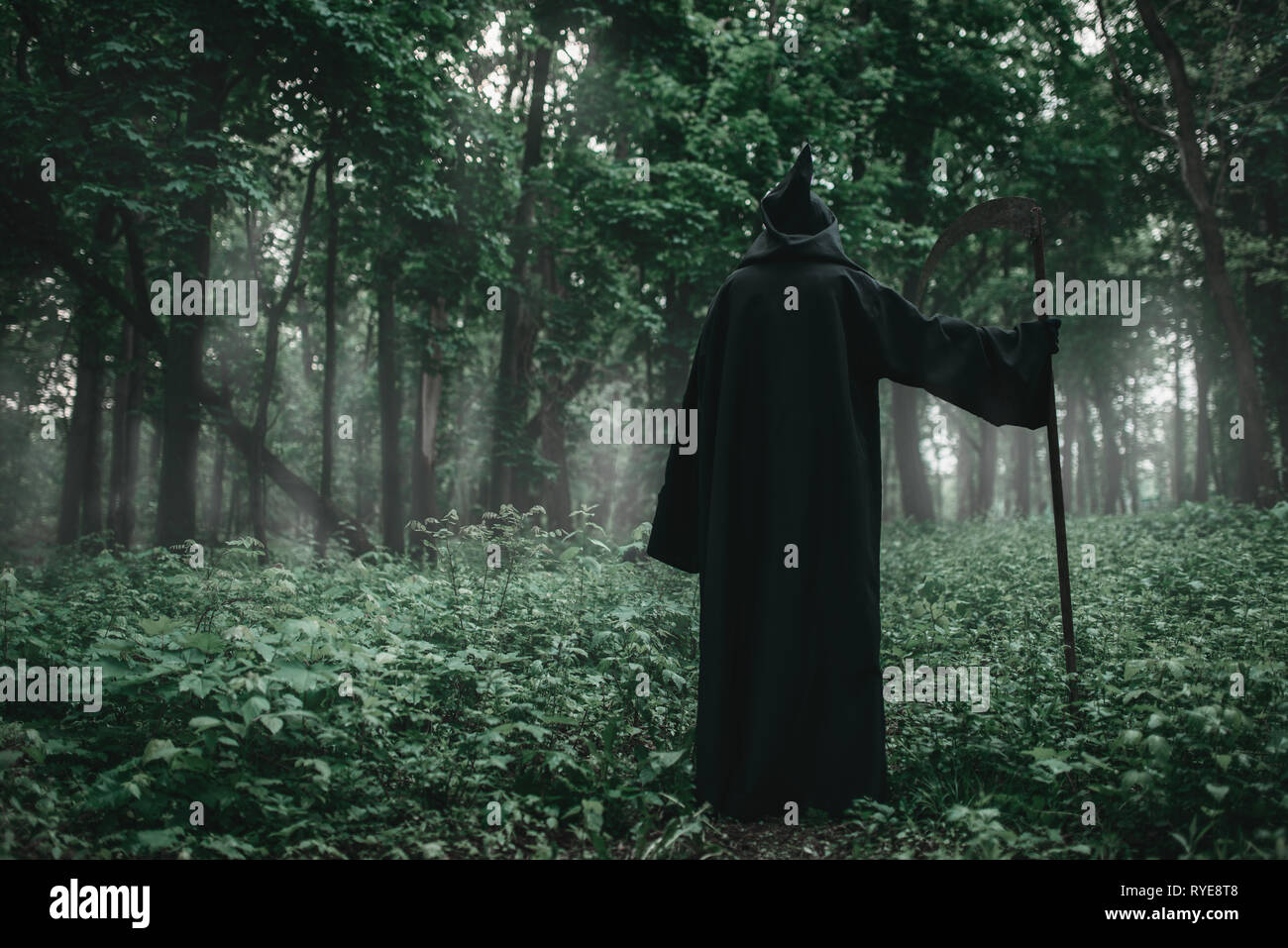 La mort d'une capuche noire avec une faux à forest Banque D'Images