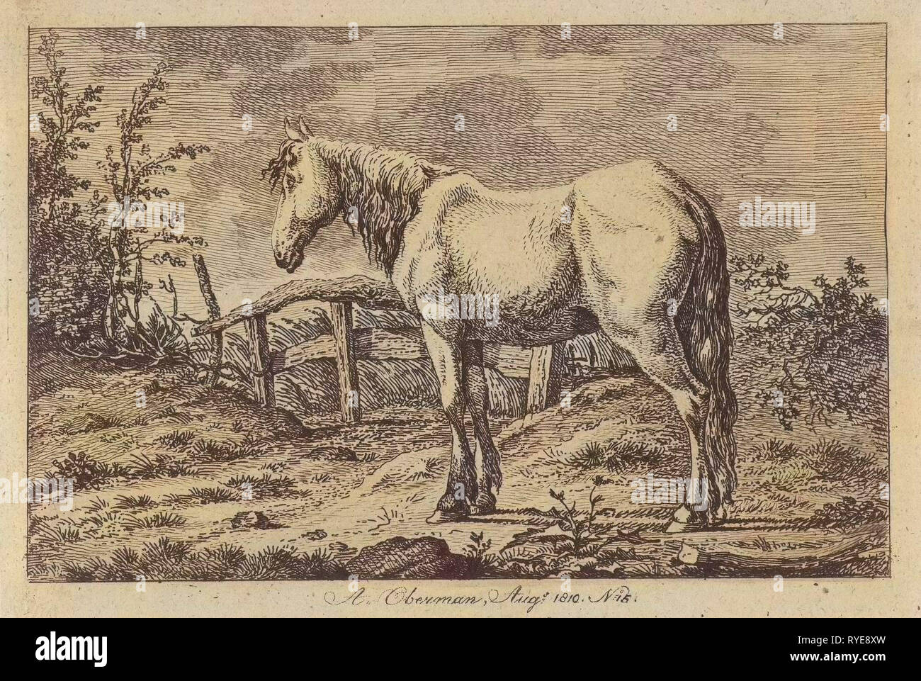 Seul cheval, Anthony Oberman, 1810 Banque D'Images