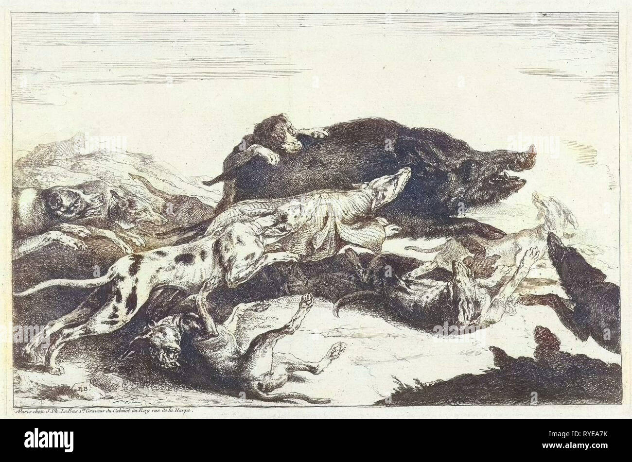 Les chiens chassent un sanglier, Peeter Boel, ch. 1650 - c. 1674 Banque D'Images
