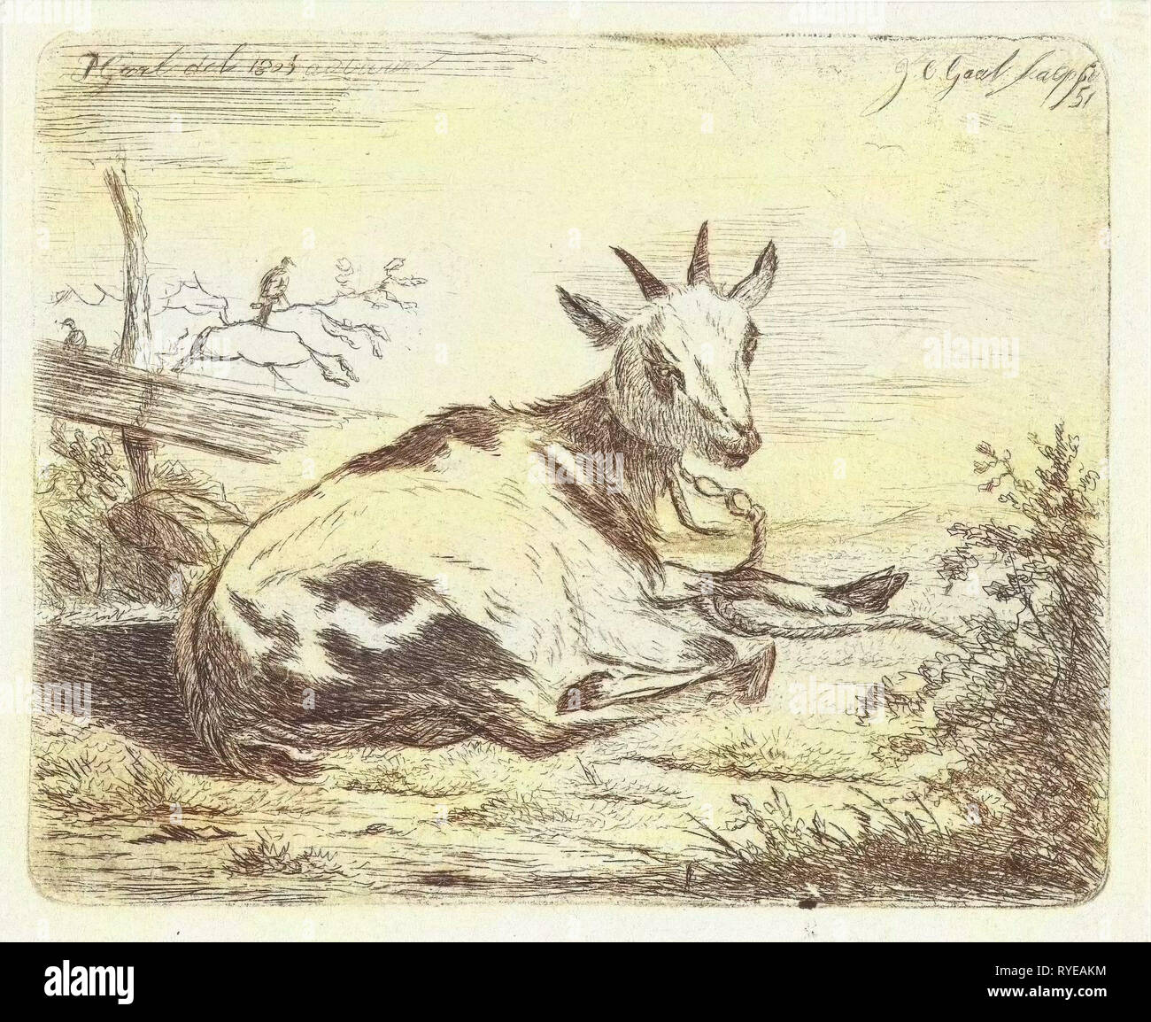 Le mensonge de la chèvre, de Jacobus Cornelis Gaal 1851, Jacobus Cornelis Gaal, 1851 Banque D'Images
