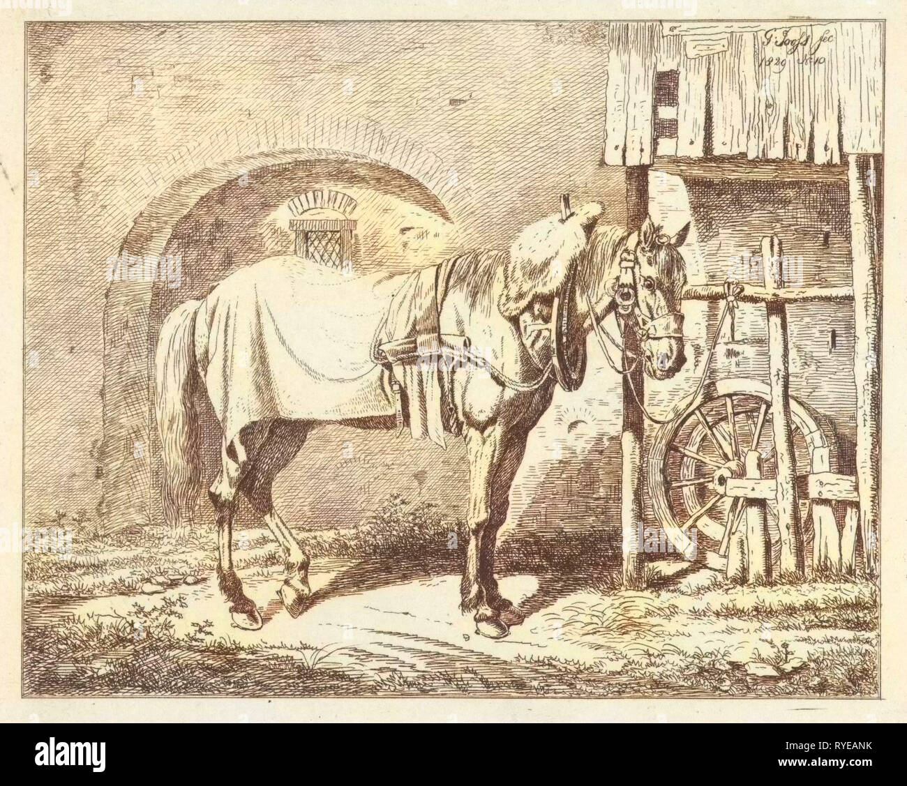 Une bride cheval remonté, George Jooss, 1829 Banque D'Images