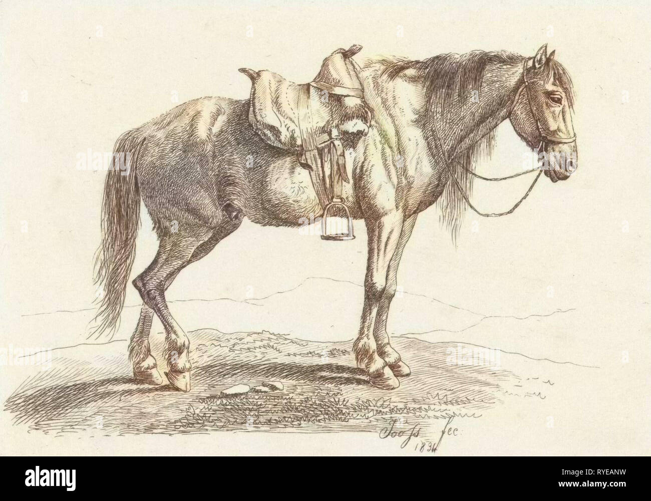 Cheval sellé, George Jooss, 1831 Banque D'Images