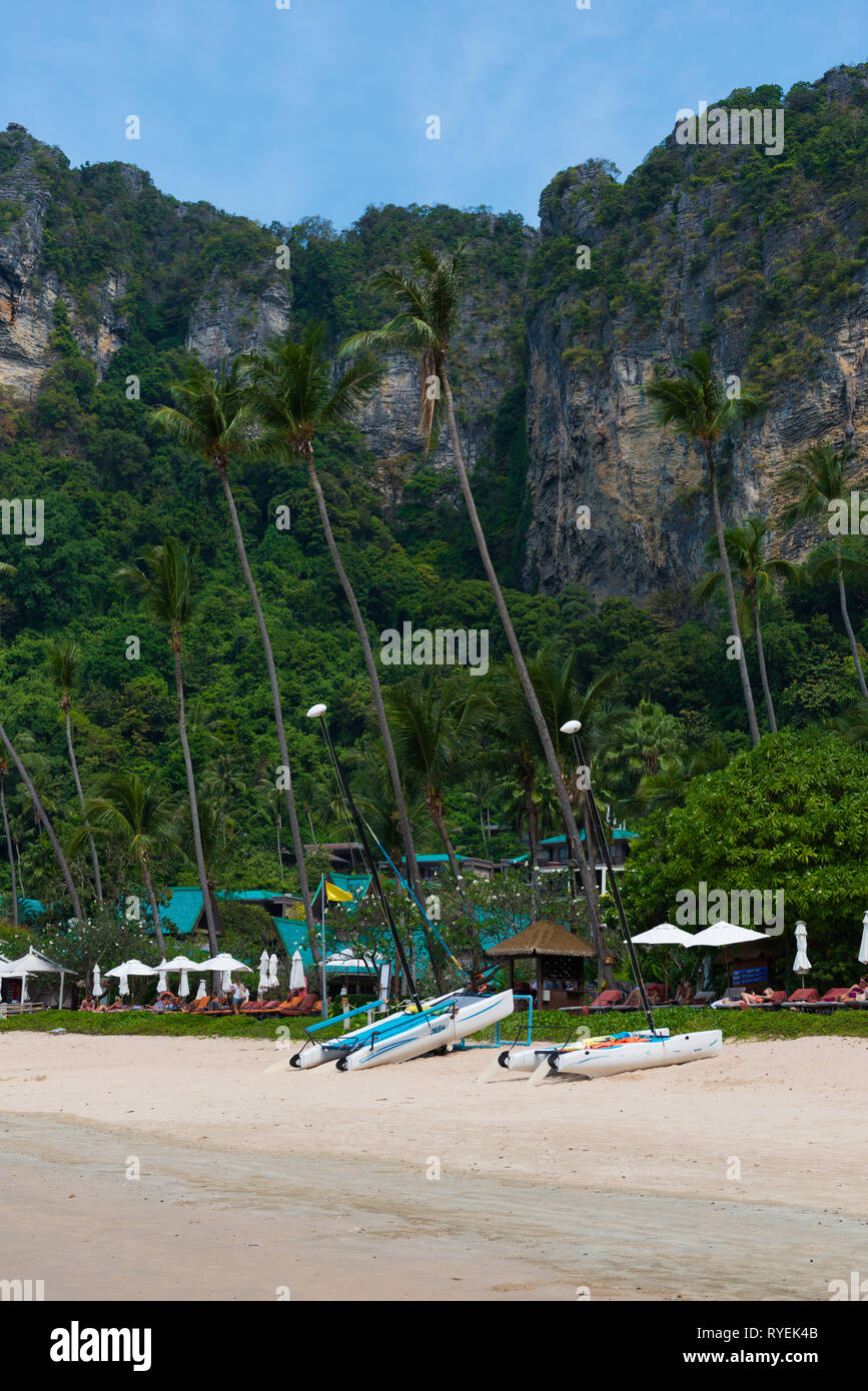 Palmiers sur Centara Grand Beach près de Ao Nang, province de Krabi, Thaïlande Banque D'Images