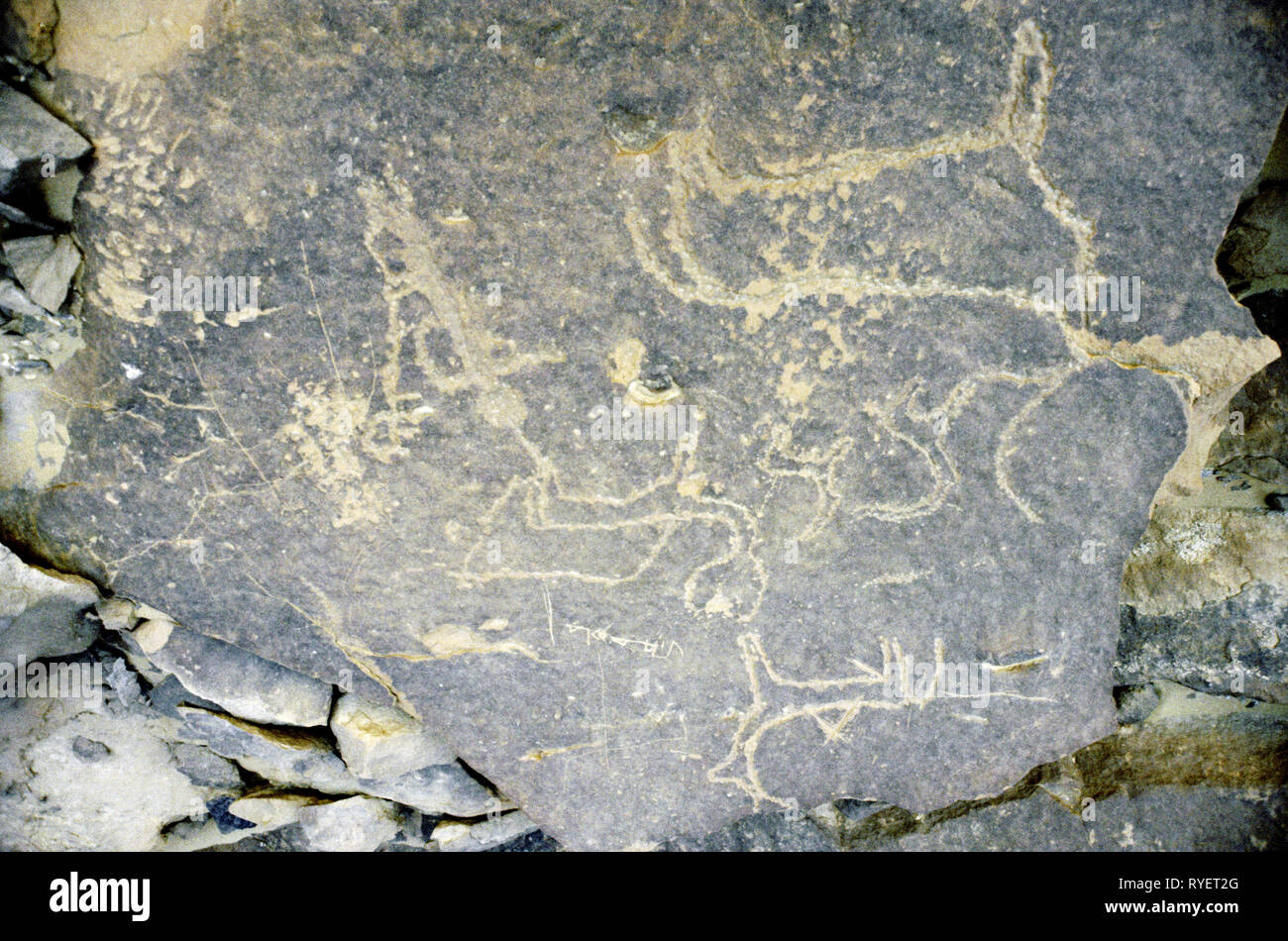La préhistoire, rock dessin, Egypte, Mer Rouge, les montagnes côtières, Additional-Rights Clearance-Info-pétroglyphes,-Not-Available Banque D'Images