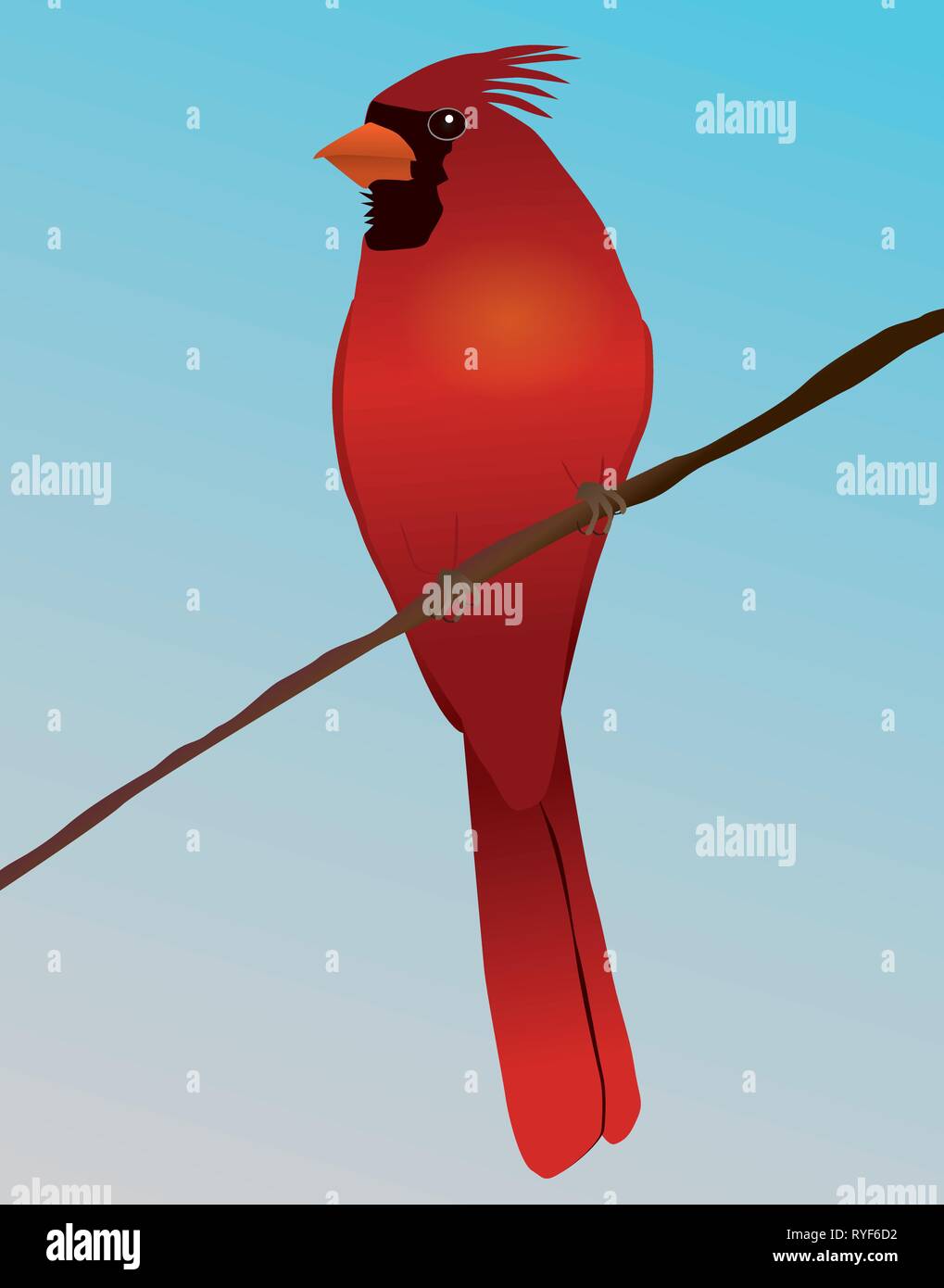 Un cardinal rouge Oiseau sur une branche Illustration de Vecteur