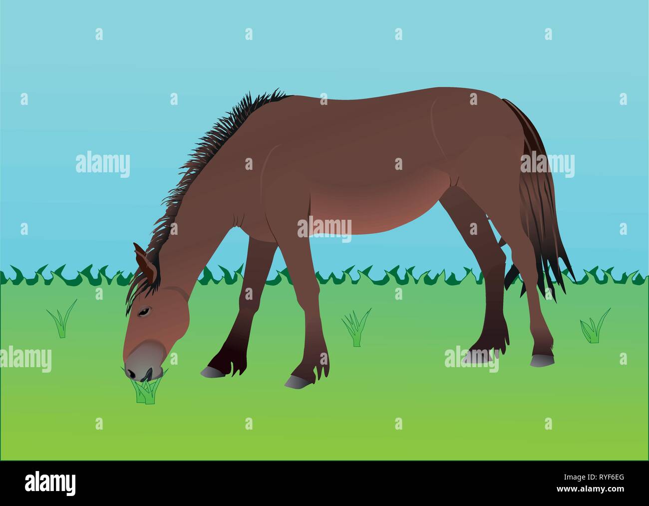 Une illustration d'un cheval brun dans un champ mange de l'herbe. Illustration de Vecteur