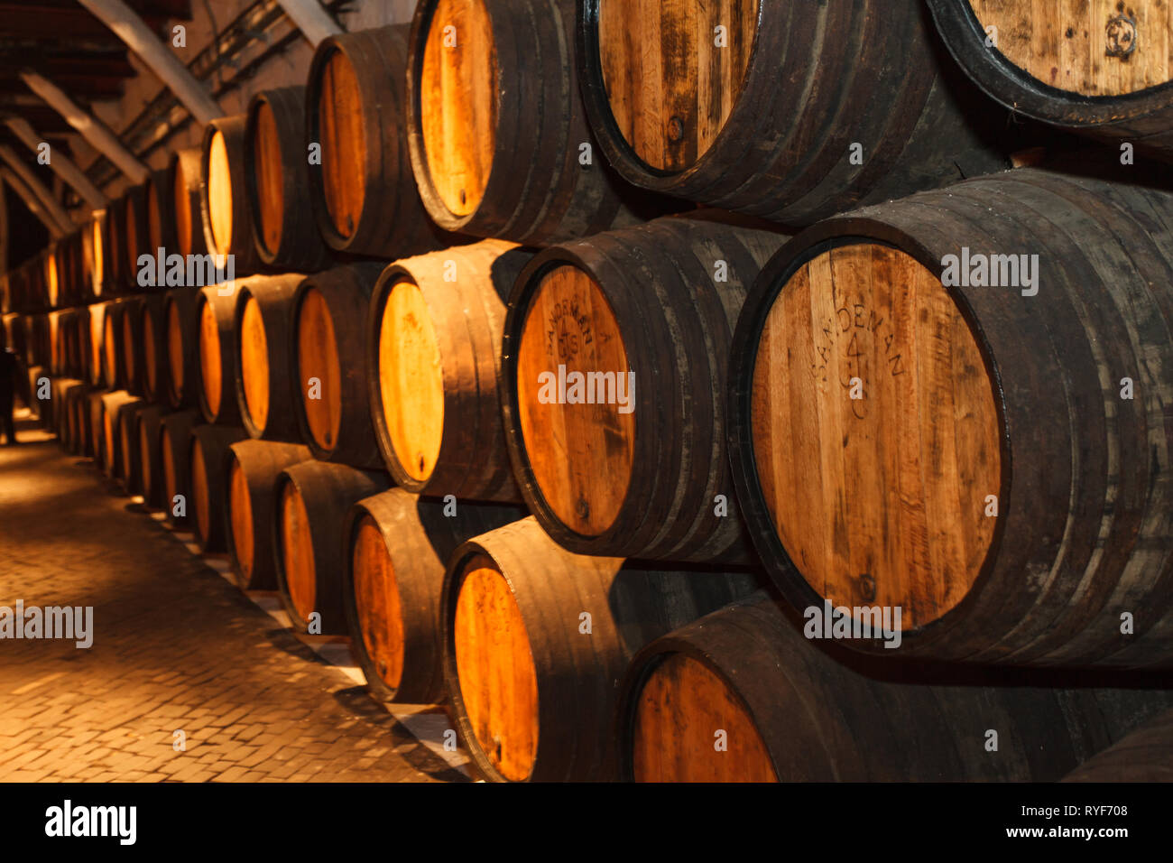 Vue de l'intérieur de rangées de fûts de vin en cave à vin de vieillissement Banque D'Images