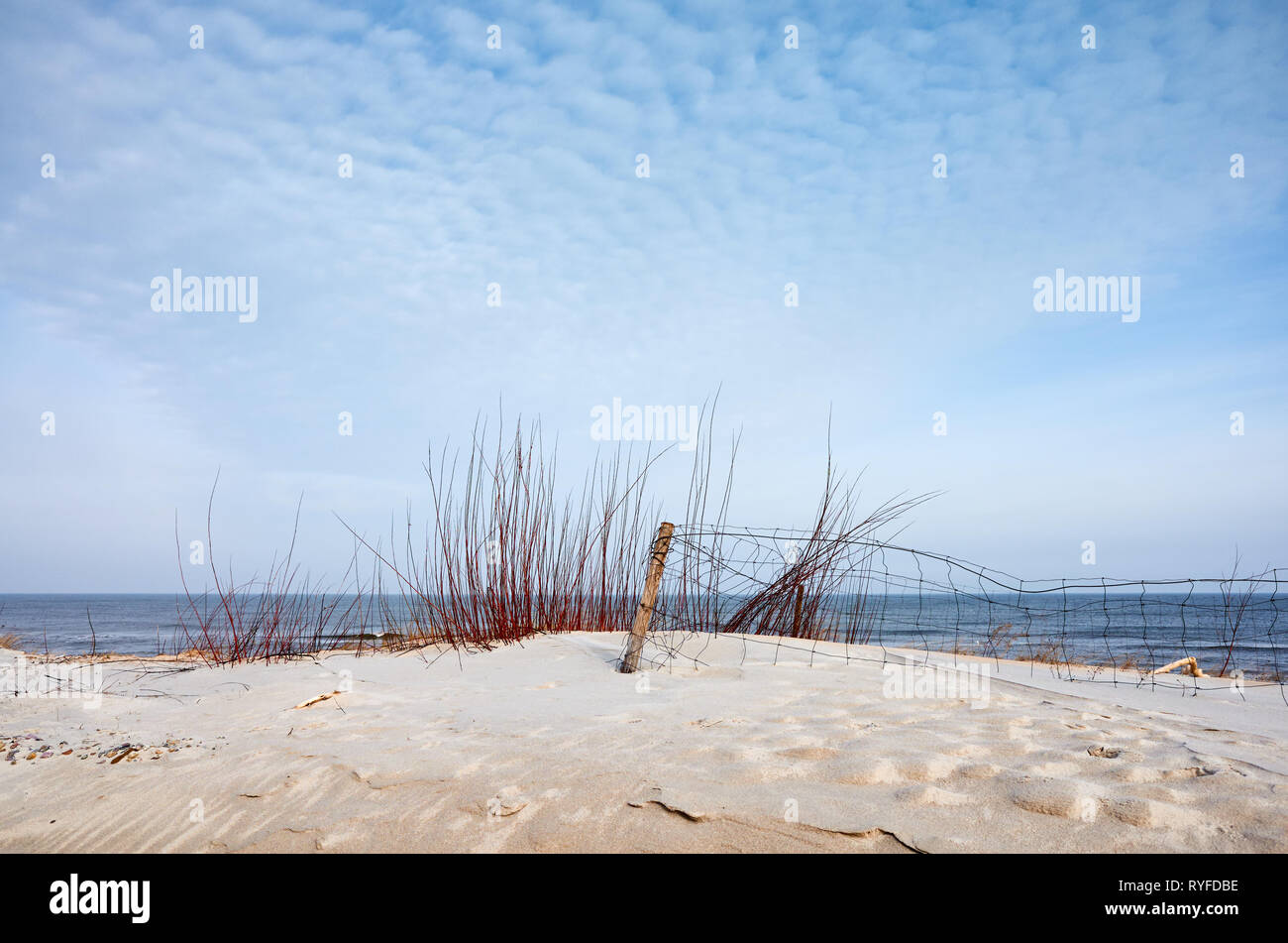 Paysage avec clôture sur une plage dune. Banque D'Images