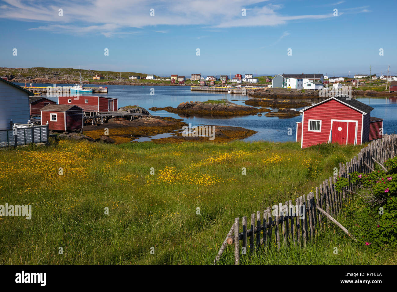 Scène de pêche rouge, l'inclinaison, l'île Fogo, à Terre-Neuve et Labrador, Canada Banque D'Images