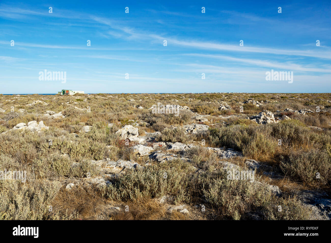 Grande île de Rat dans les Houtman Abrolhos montre les effets de l'extraction du guano. Les Houtman Abrolhos îles se trouvent à 60 kilomètres au large de la côte de la région de Geraldton Banque D'Images