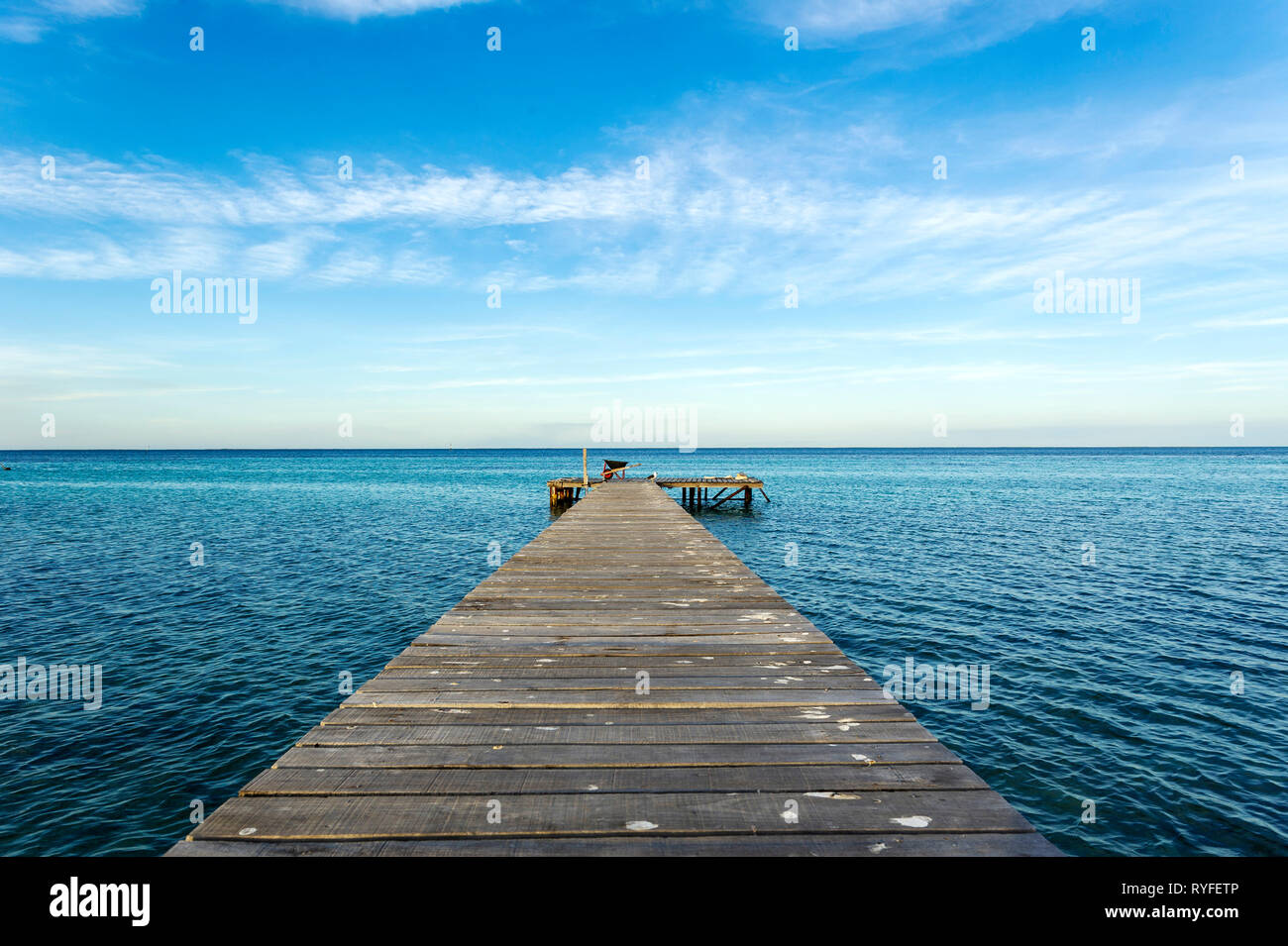 Grande île de Rat, Houtman Abrolhos. Les Houtman Abrolhos îles se trouvent à 60 kilomètres au large de la côte de Geraldton en Australie occidentale. Il y a 122 pristi Banque D'Images