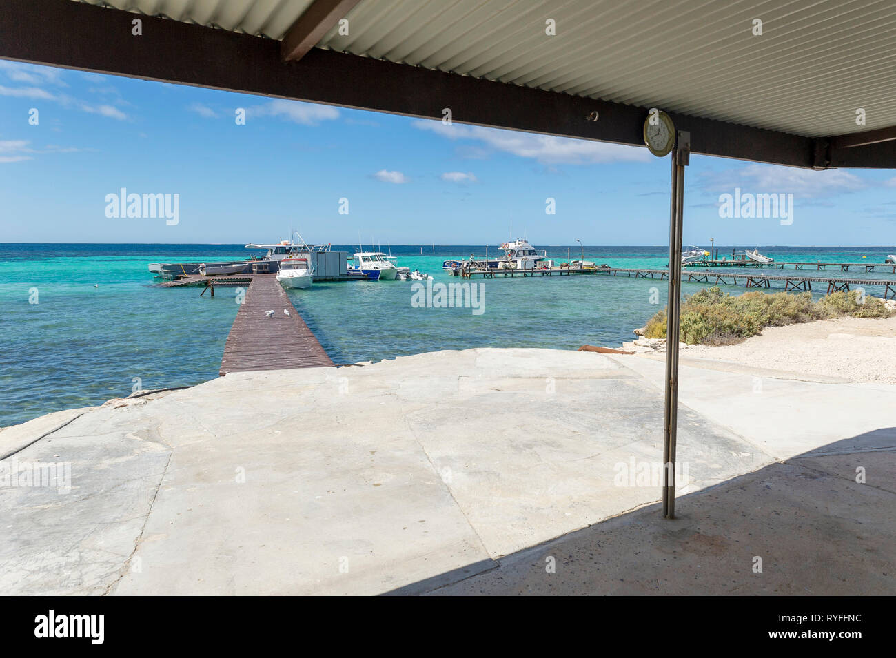 Grande île de Rat, Houtman Abrolhos. Les Houtman Abrolhos îles se trouvent à 60 kilomètres au large de la côte de Geraldton en Australie occidentale. Il y a 122 pristi Banque D'Images