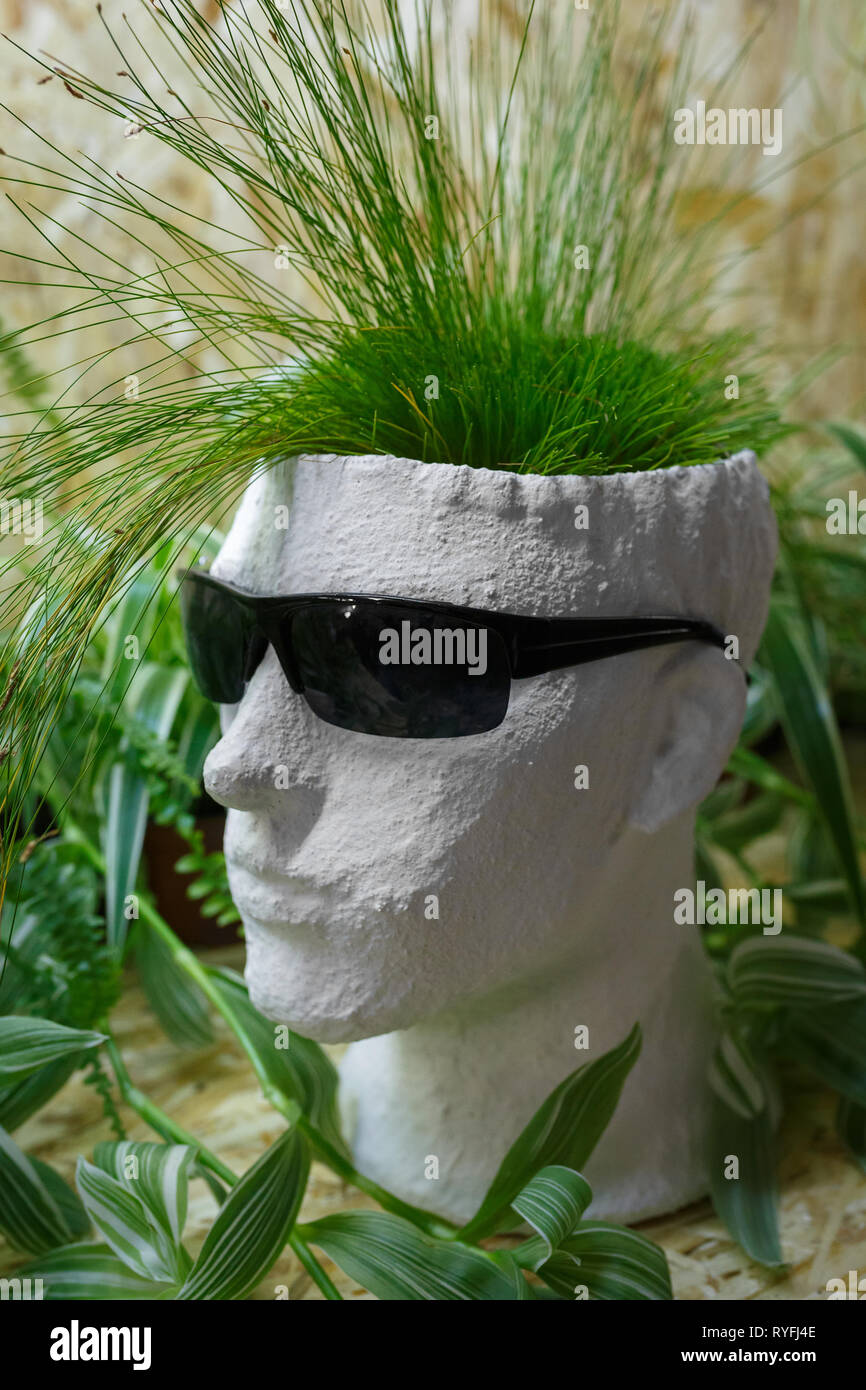 Le gypse blanc pot de fleurs en forme de tête d'un homme avec des lunettes noires Banque D'Images