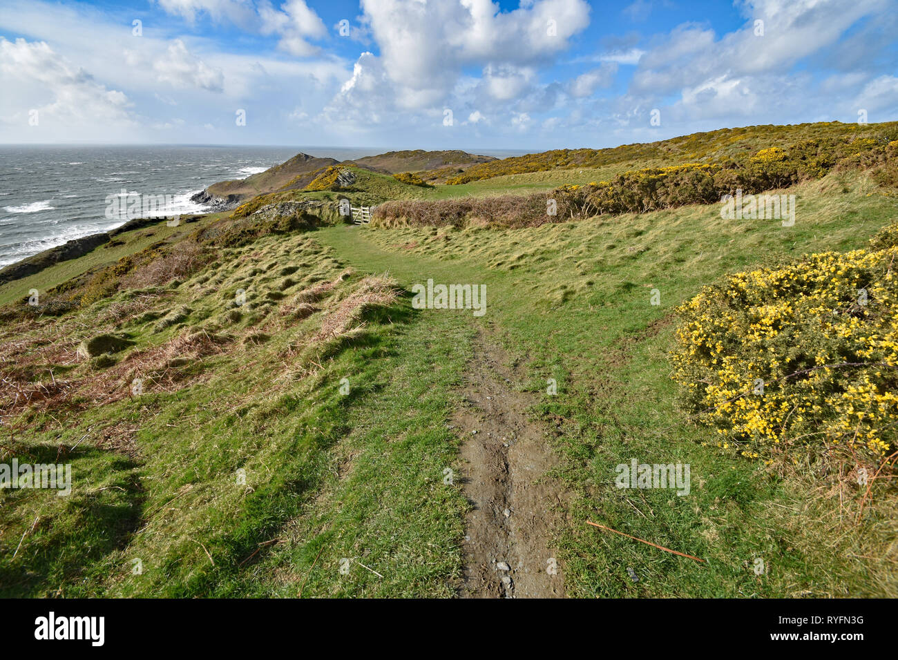 La côte sud-ouest au niveau du point mort spectaculaire et robuste pointe dans le Nord du Devon, Angleterre. Banque D'Images