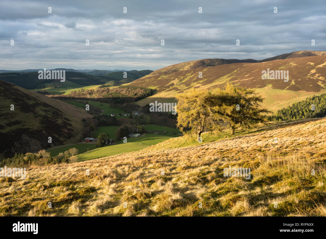 Soirée dramatique du voyant de l'eau au sud de Biggar Culter dans la région des Scottish Borders, les lointaines collines de Pentland près d'Édimbourg peut être vu. Banque D'Images