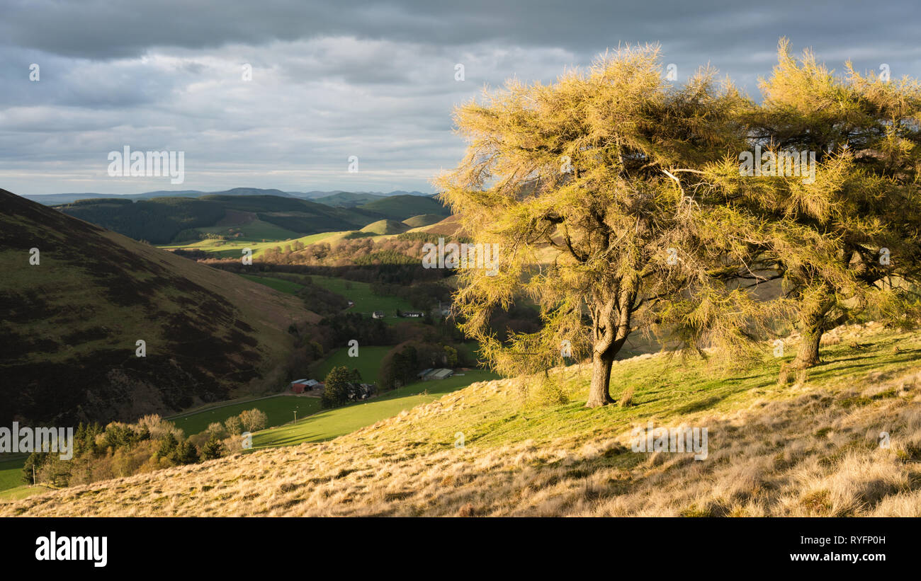 Soirée dramatique du voyant de l'eau au sud de Biggar Culter dans la région des Scottish Borders, les lointaines collines de Pentland près d'Édimbourg peut être vu. Banque D'Images