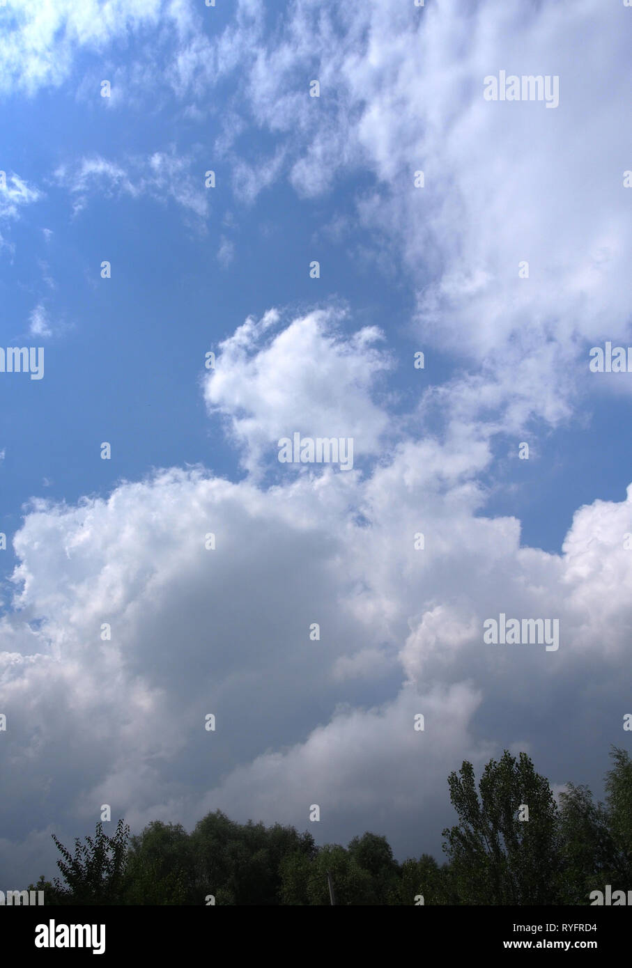 Les phénomènes naturels. Les nuages de pluie et tonnerre. L'Ukraine. Banque D'Images