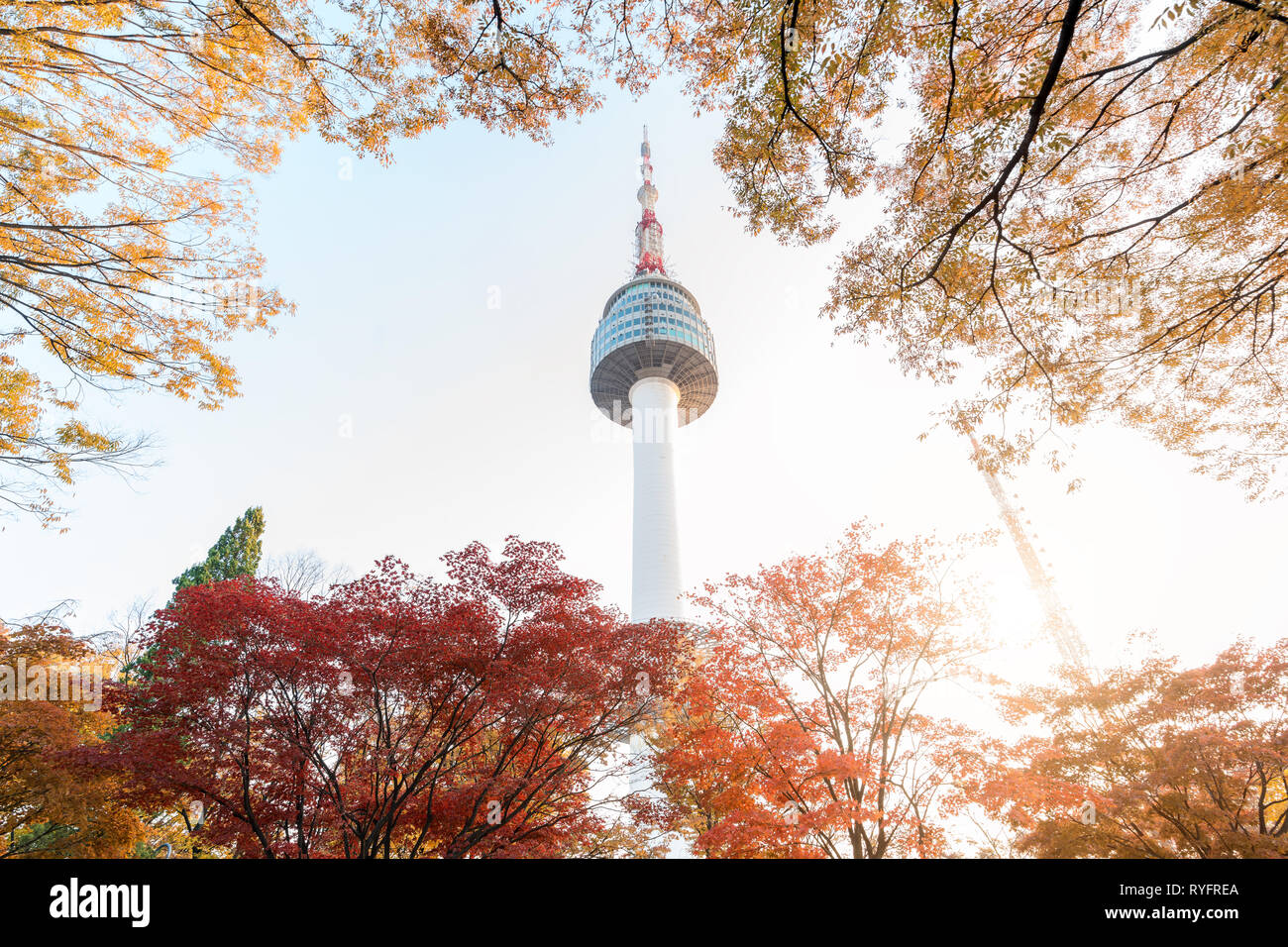 Tour de Séoul avec jaune et rouge l'automne feuilles d'érable à la montagne Namsan en Corée du Sud. Banque D'Images