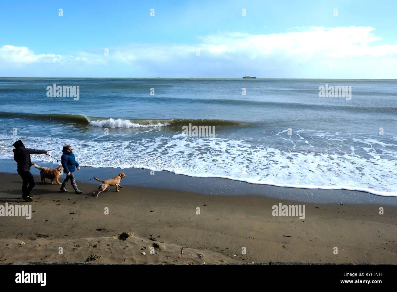 Un couple promènent leurs chiens sur la plage de Shanklin, île de Wight. L'homme jette une balle dans la mer pour un chien à récupérer. Banque D'Images