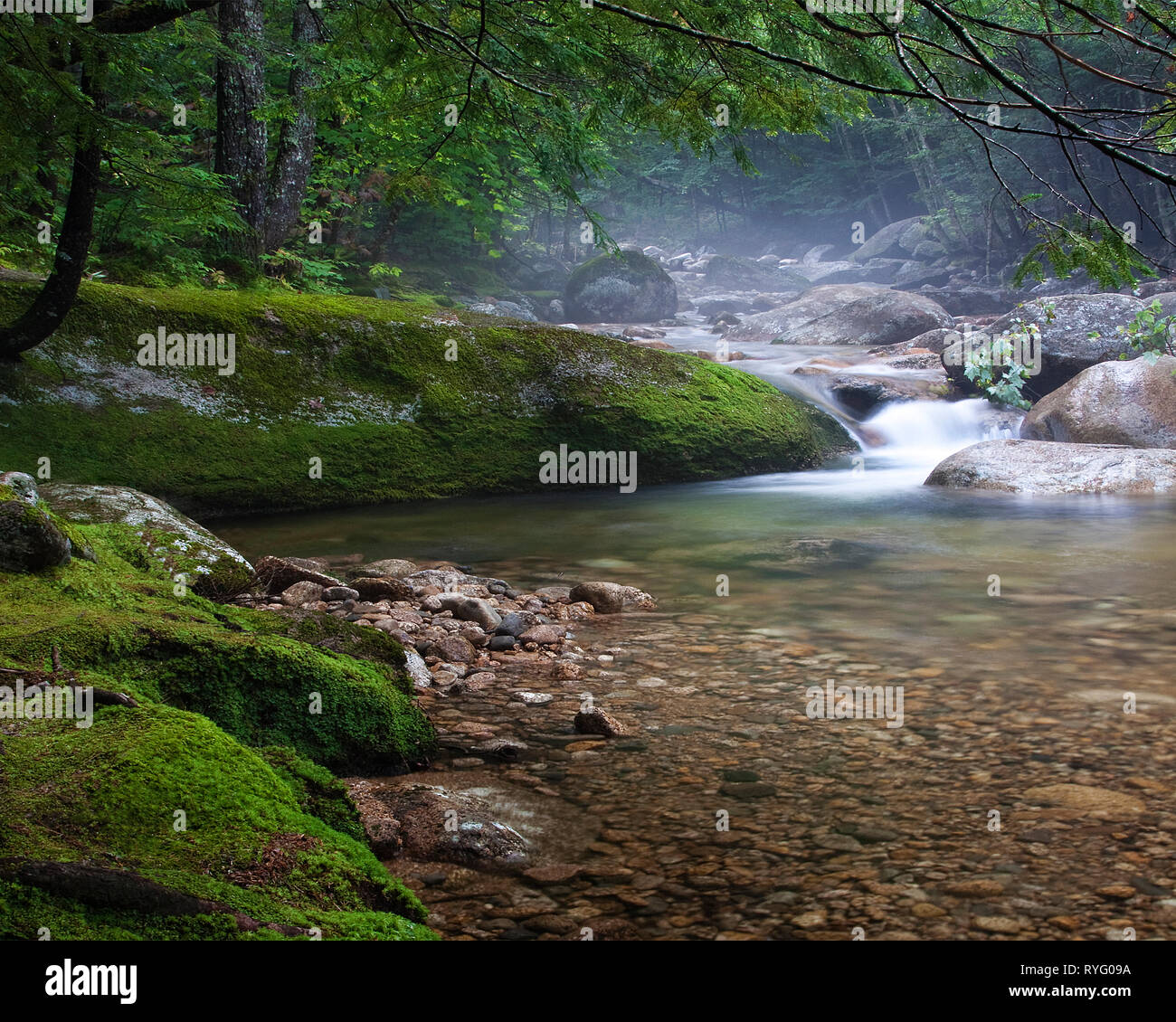 Beau matin brumeux de l'image de flux en provenance de Géorgie avec couleurs vivifiantes et de mouvement. Les roches moussues ajouter aux effets calmants de la scène. Banque D'Images